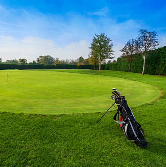 B2B golf bags bulk shipping (FCL) for US market