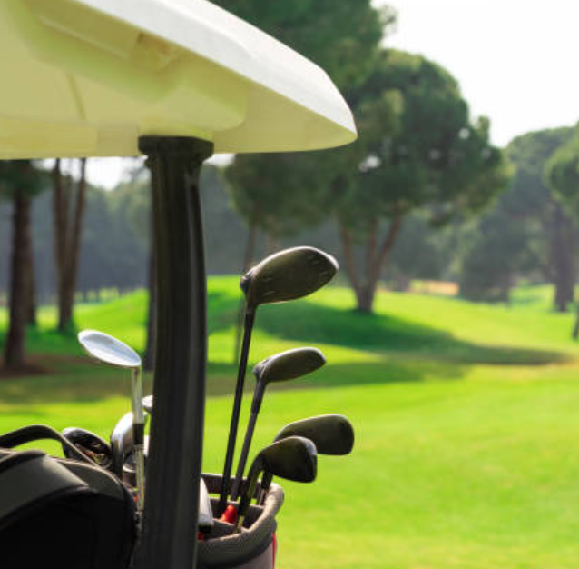 Organized golf bag with 14-way club dividers