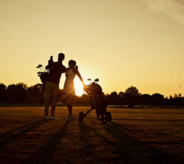 Risk assessment dashboard for golf bag suppliers showing compliance and delivery metrics