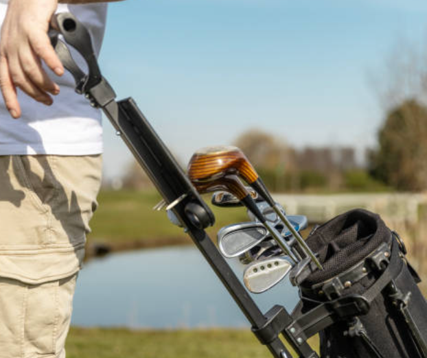 Home 16 golf bag market