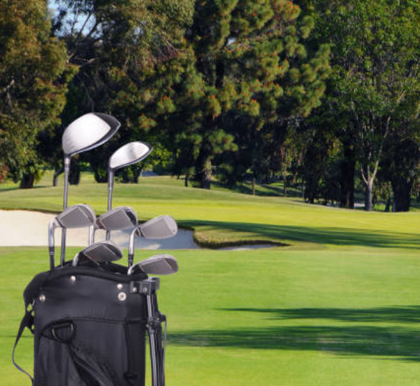 Home 15 golf bag supplier diversification