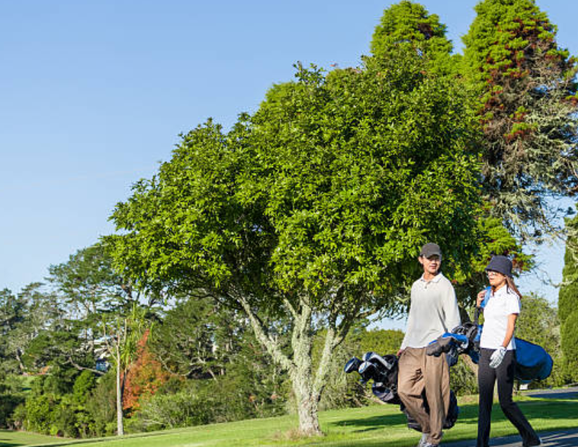 golf bag supplier risk management