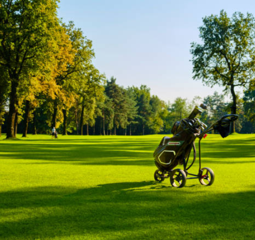golf bag export compliance